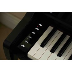Casio AP-750 BK Smart Hybrid Celviano Digital Klaver 