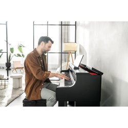Casio AP-750 BK Smart Hybrid Celviano Digital Klaver 