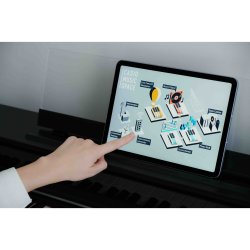 Casio AP-S450 BK Smart Hybrid Celviano Digital Klaver 