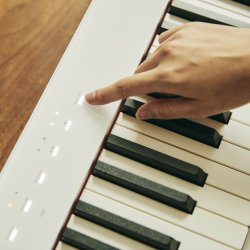 Casio Privia PX-S1100WH El Klaver