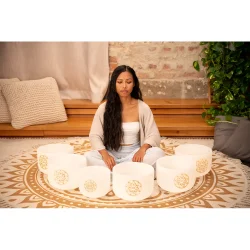 Meinl Sonic Energy SOLCSBSET Hvidfrostede Krystal Syngesk�l 6-delt Solfeggio S�t (Ut, Re, Mi, Fa, Sol, La) inkl. silikoneringe &amp; k�ller