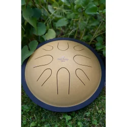 Meinl Sonic Energy CSTD3G 10" Kompakt Steel Tongue Drum (D-Moll, 8 Toner, 432 Hz, Guld) 