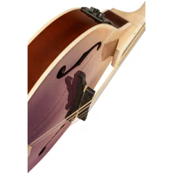 Ortega RMAE200PF Americana Serie A-style Mandolin m/mikkrofon inkl. kuffert (Flamed Maple/Mahogany purple fade)