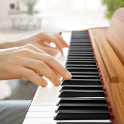 Donner DDP-80 Digital Klaver (88 fuldt v�gtede hammer-action tangenter) inkl. tripel-pedal (tr�)