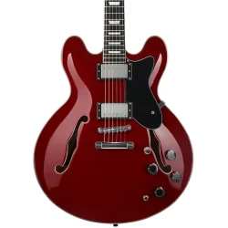 Donner DJP-1000R Semi-hollow Elektrisk Guitar m/HH-konfiguration inkl. taske &amp; tilbeh�r (R�d Gloss) 