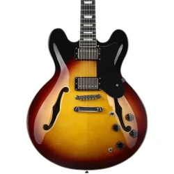 Donner DJP-1000S Semi-hollow Elektrisk Guitar m/HH-konfiguration inkl. taske &amp; tilbeh�r (Sunburst)