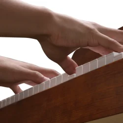 Donner DDP-200 Elektrisk Klaver