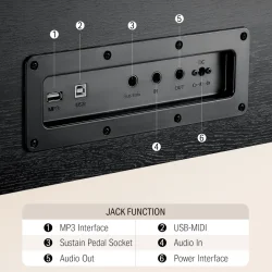 Donner DDP-100 Digital-Elektrisk 'Begynder' Klaver (88 fuldt v�gtede hammer-action tangenter) 