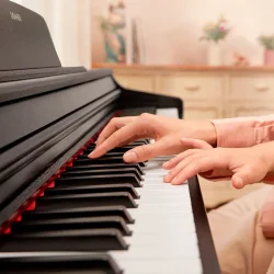 Donner DDP-100 Digital-Elektrisk 'Begynder' Klaver (88 fuldt v�gtede hammer-action tangenter) 