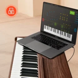 Donner DDP-80 Digital Klaver (88 fuldt v�gtede hammer-action tangenter) inkl. tripel-pedal (valn�d)