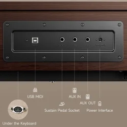 Donner Oura R300 Elektrisk Klaver m/88 v�gtede hammer-action tangenter (valn�d)