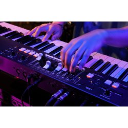Hammond M-solo Drawbar Keyboard (49 hastighedsf�lsom virtuelt multi-contact tangenter)