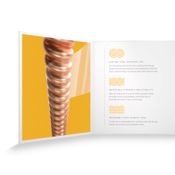 D'Addario Fretted XSAPB1256 XS Phosphor Bronze Light Medium 012-056 Western Guitar Strengest