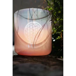 Meinl Sonic Energy ECSB128FOL 9''/22cm Essence Krystal Syngesk�l (C3, Light Rose Gold, 128 Hz, Flower of Life)
