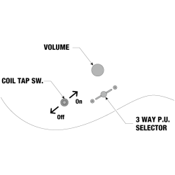 Ibanez RGIXL7-BKF Iron Label, 7-str. Elguitar