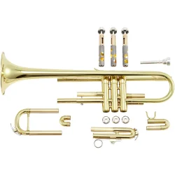 Eastar ETR-380 Bb Standard Begynder Trumpet inkl. kuffert &amp; tilbeh�r (Guld) 