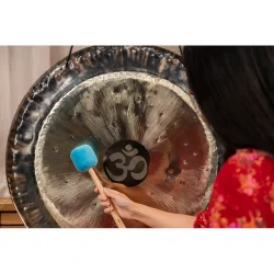 Meinl Sonic Energy MGM-S-SP Lille St�rrelse Gong K�lle (Sea Petrol)