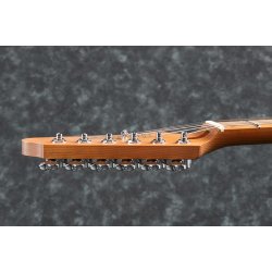 Ibanez AZS2200-BK AZ Players Player Project Prestige Elektrisk Guitar inkl. kuffert 