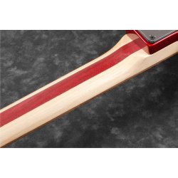 Ibanez JS240PS-CA Premium Joe Satriani Signatur El Guitar