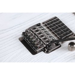 Ibanez PWM20 Paul Waggoner signatur Elguitar