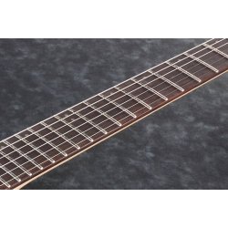 Ibanez RGIB21-BK Iron Label Baritone Elguitar