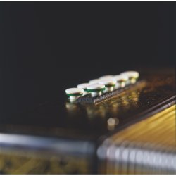 HOHNER Vienna Model 2915 Harmonika