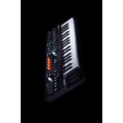 ARTURIA MiniFreak 6 toners Polyphonisk Hybrid Synthesizer (37 anslagsflsom slim tangenter)