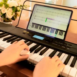 Nux NEK-100 Arrangements Keyboard m/500 lyde &amp; 100 rytmer/styles (61 anslagsf�lsomme tangenter)