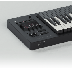 Expressive E Osmose Next-gen Standalone Expressive Synthesizer (49 tangent AugmentedKeyboardAction)