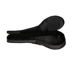 Ritter RGD2-BJ/ANT Davos taske til banjo anthracite