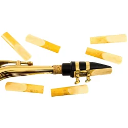 Beckett SSREED-3 Sopran Saxofon Rrblade ExtraHrd 3 (10stk)      