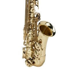 Soundsation SALSX-20 Altsax Eb med etui