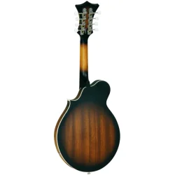 Tanglewood TWMFVSE Basic Scroll Cutaway Mandolin