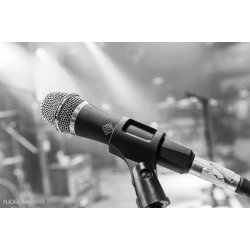 Telefunken M80 Dynamisk Mikrofon