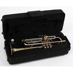 Soundsation STPGD-10 Trumpet Gold m.etui